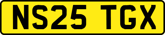 NS25TGX