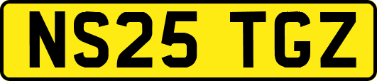 NS25TGZ