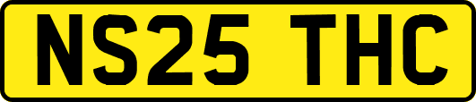 NS25THC