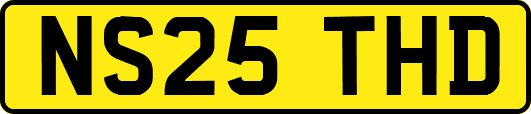 NS25THD