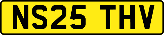 NS25THV