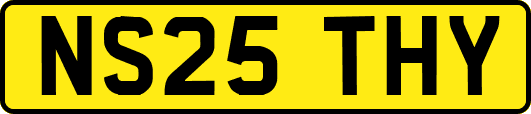 NS25THY