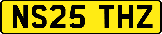 NS25THZ
