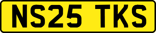 NS25TKS