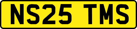 NS25TMS