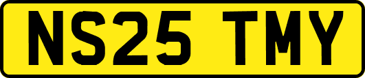 NS25TMY