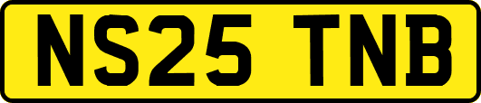 NS25TNB