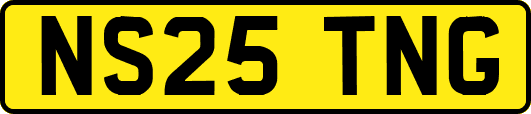 NS25TNG