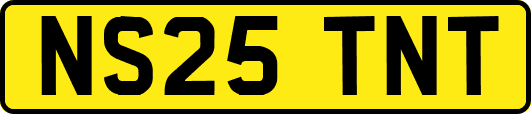 NS25TNT