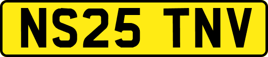 NS25TNV