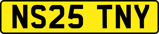 NS25TNY