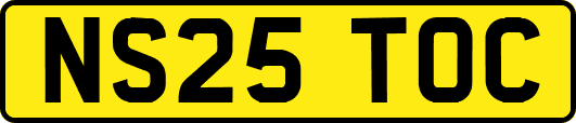 NS25TOC
