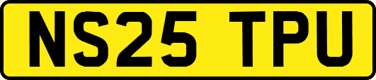 NS25TPU