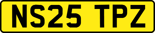 NS25TPZ
