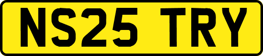 NS25TRY