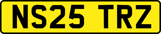 NS25TRZ