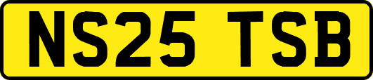 NS25TSB