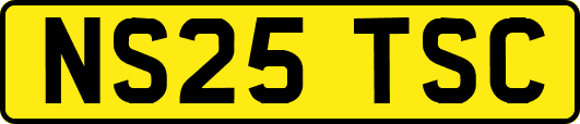 NS25TSC