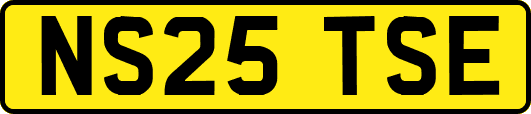 NS25TSE