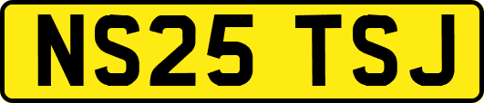 NS25TSJ