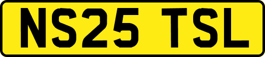 NS25TSL
