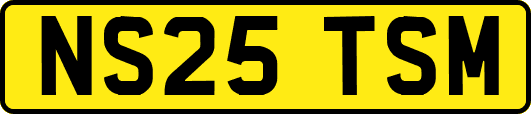 NS25TSM