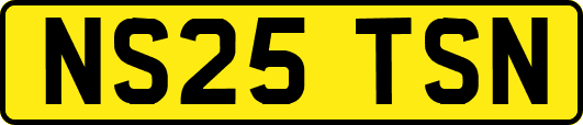 NS25TSN