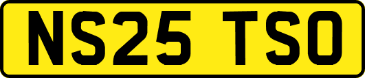 NS25TSO