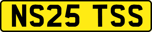 NS25TSS