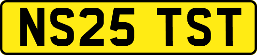 NS25TST