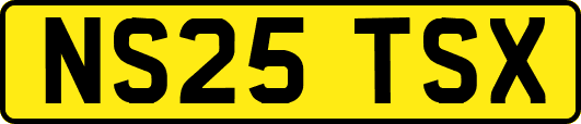 NS25TSX