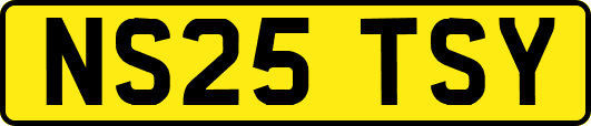 NS25TSY