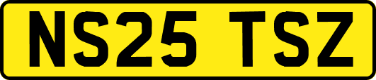 NS25TSZ