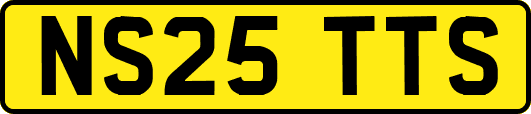 NS25TTS