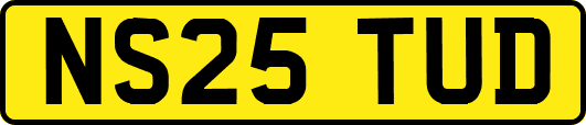 NS25TUD