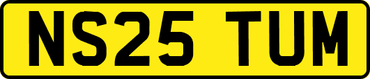 NS25TUM
