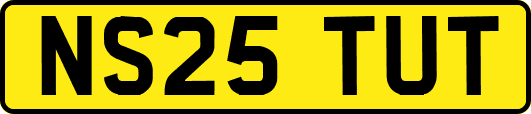 NS25TUT