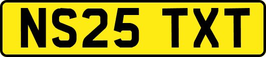 NS25TXT