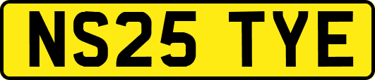 NS25TYE