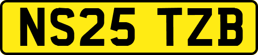 NS25TZB
