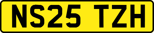 NS25TZH