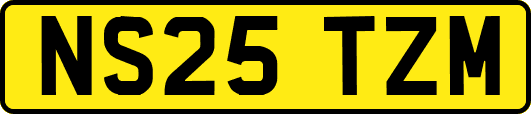 NS25TZM
