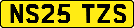 NS25TZS