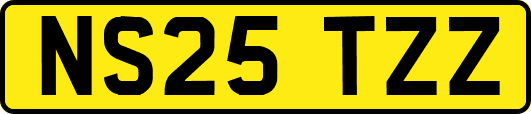NS25TZZ