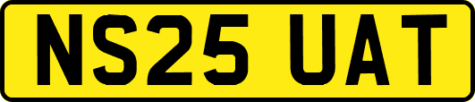 NS25UAT