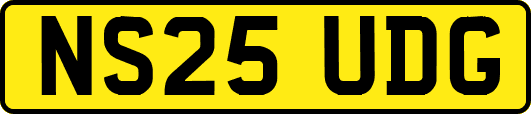 NS25UDG