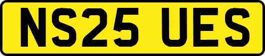 NS25UES