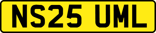 NS25UML