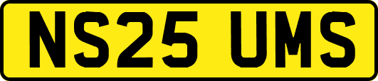 NS25UMS
