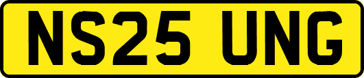 NS25UNG